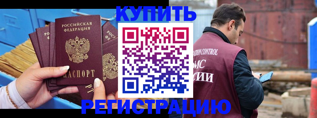 прописка поиск в Камышине